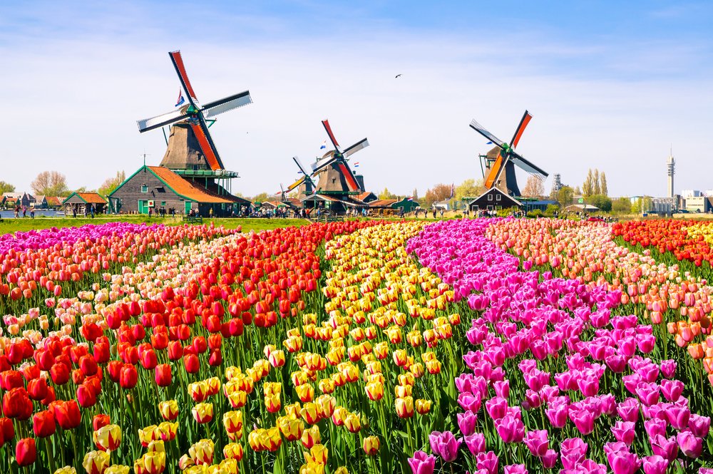 TopdeckTravel's tweet photo. That moment you realise Amsterdam looks like an actual fairytale 😍 https://t.co/fVUJiOwZmn