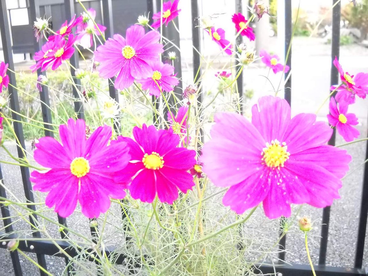 Mess around is useless sorry, for that extra