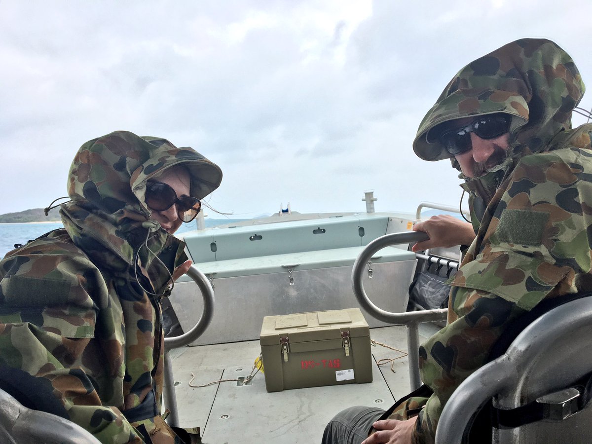 Mick O’Sullivan tweet media