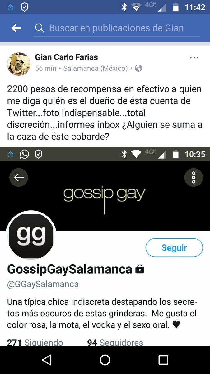 CaribeSpa's tweet photo. @GGaySalamanca https://t.co/soFVc24HlD