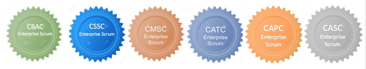 🦄 Enterprise Scrum:

🏄 Business Agility
🏄 Software Scaling
🏄 Marketing and Sales
🏄 Agile Transformation
🏄 Agile Portfolio
🏄 Agile Software