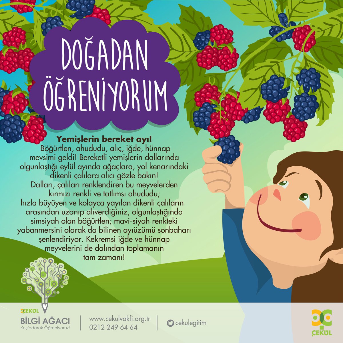 cekulegitim's tweet photo. 🌏 #CEKULBilgiAgaci ile #DogadanOgreniyorum 🍃  🌊  ☁️ 🐦
🍇 #Eylul 🍛 🌿 Yemişlerin bereket ayı! 🌾

https://t.co/K0Oxyw1SVg

#CEKUL https://t.co/guH5aAsGxI