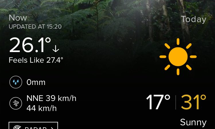 So this is spring apparently...! 😎☀️😅 🇦🇺 #boilinginbrisbane