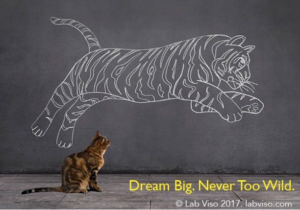 LabViso's tweet photo. Dream big. All our dreams can come true if we have the courage to persue them. #writerslife #amwriting #crowdfunding #designthinking https://t.co/QQrJk3eG28