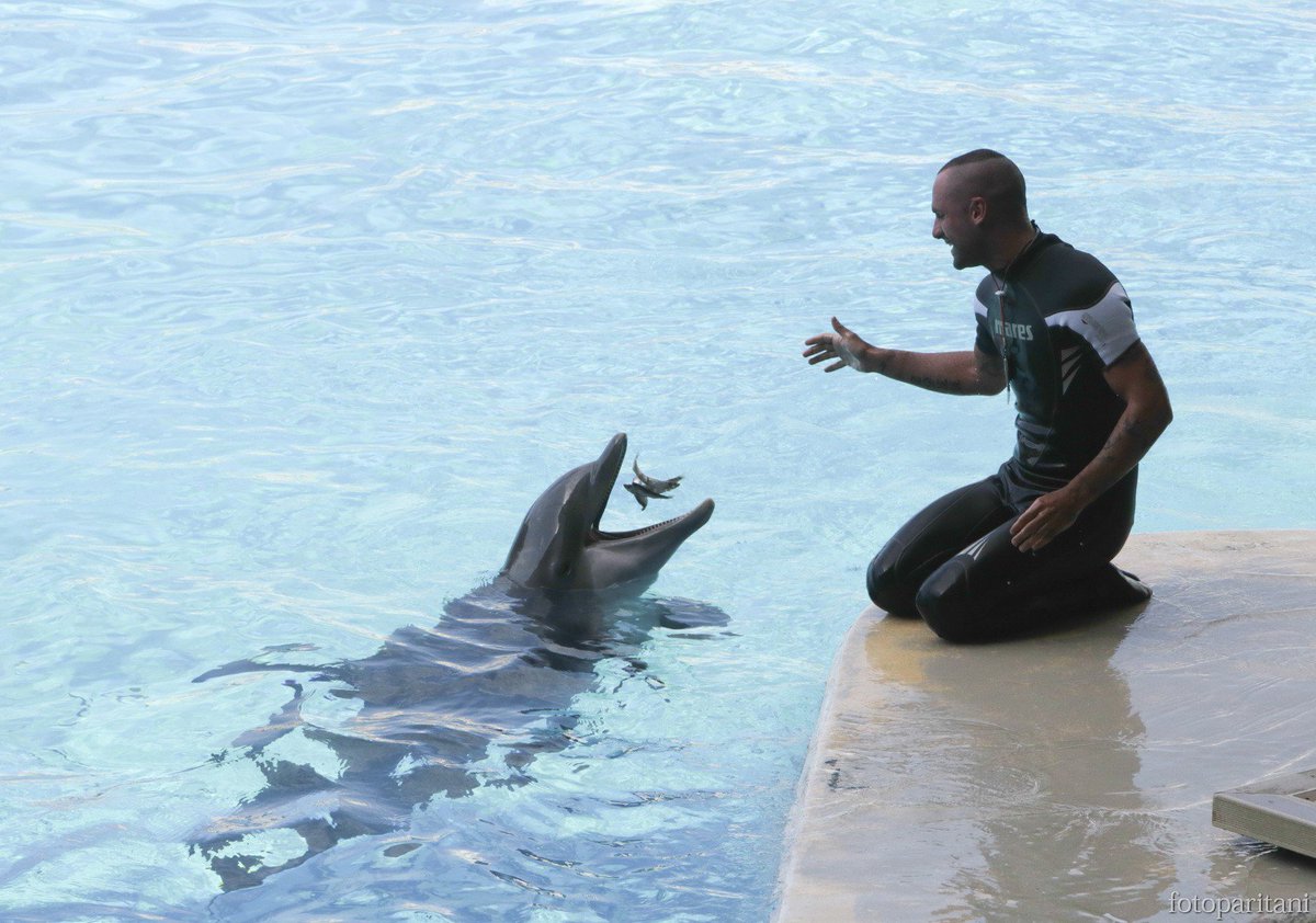 Buongiorno dormiglioni! Qui si fa già colazione! 
#goodmorning #goodday #buongiorno #breakfast #Oltremare #Riccione