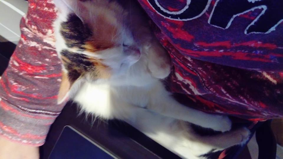 Установи, че движа много по-малко дясната си ръка – защото седи главно на мишката. Полегна си блажено