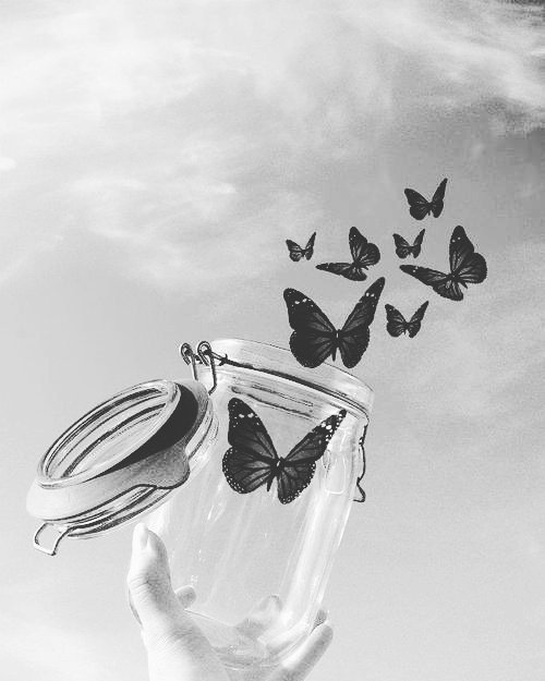 The_GreenBoat's tweet photo. Y justo cuando la oruga creía que era su final se transformó en mariposa 🦋
#libertad #freedom #vuela #nevergiveup #MiercolesDeSonrisas https://t.co/X8p0AdzFXb
