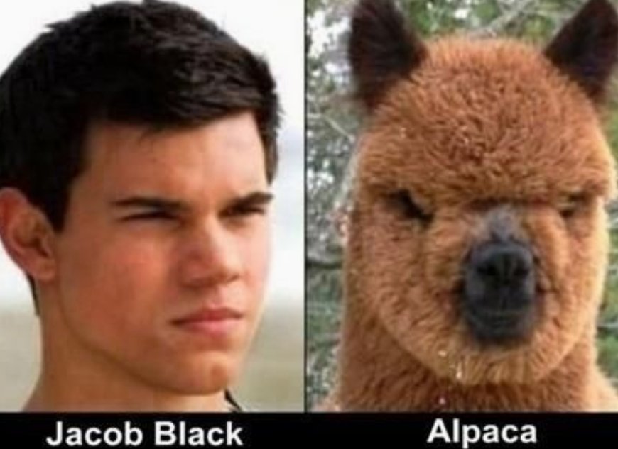 ZOBASA_HUXLEY's tweet photo. The Same person????

But there are exception:) jacob

#sameimage,#actor,#funny#aintitfunny,#sameperson https://t.co/q8Tz0X8COM