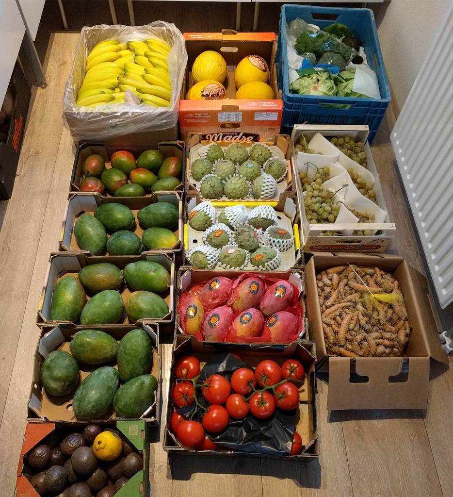 mostlyraw's tweet photo. #thursdayfruithaul #fruitstash #fruithaul #plantpower #hclfmrw #wholesale #rotterdam #peacefulwarrior #brainwarrio… https://t.co/TMWZ7E02i2 https://t.co/a0HOaG1bcm