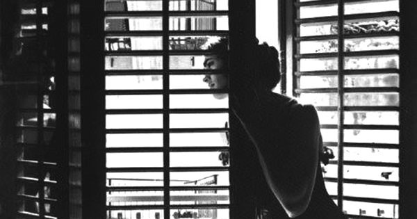 VicentYz tweet media