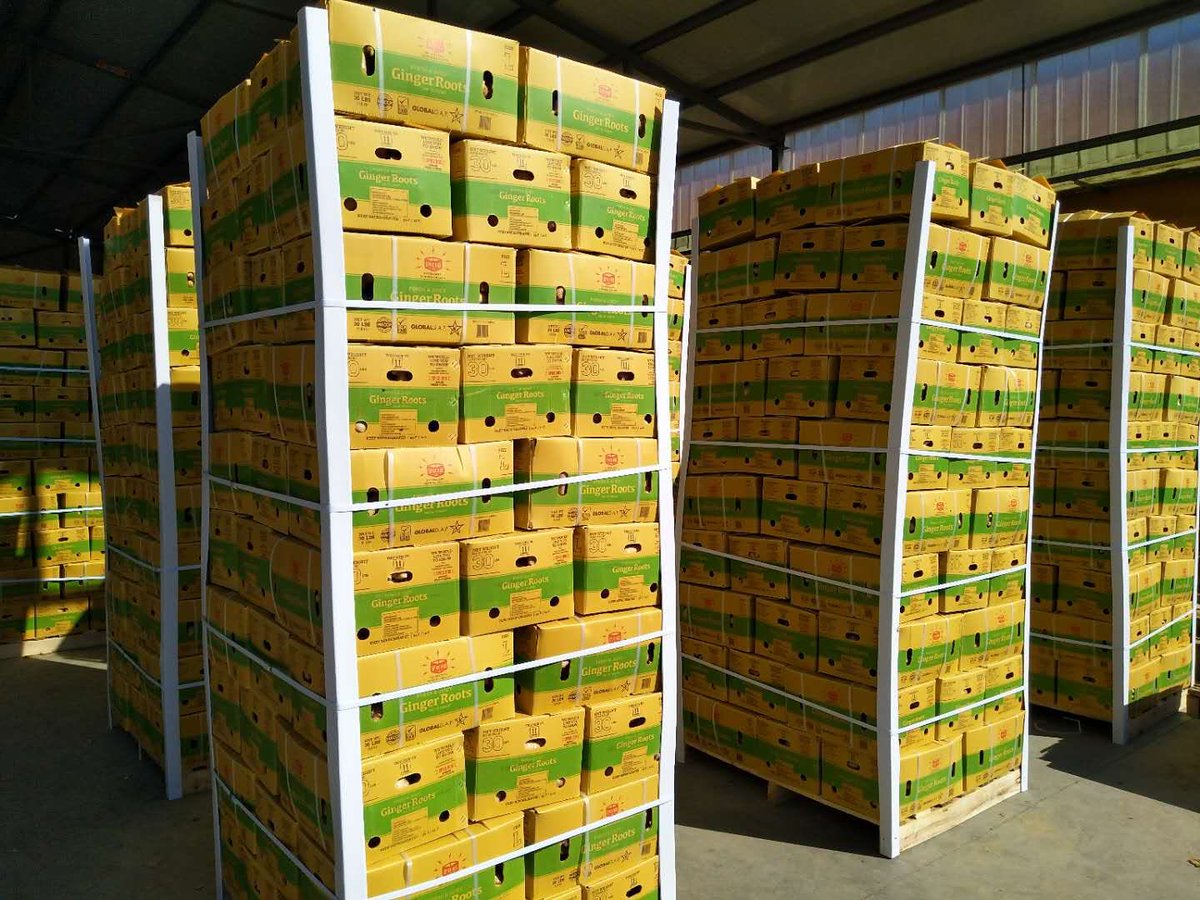 goOrchardDirect's tweet photo. As the shipper's agent, we deliver the best fresh ginger to your warehouse. https://t.co/4Sr2EtLrzZ