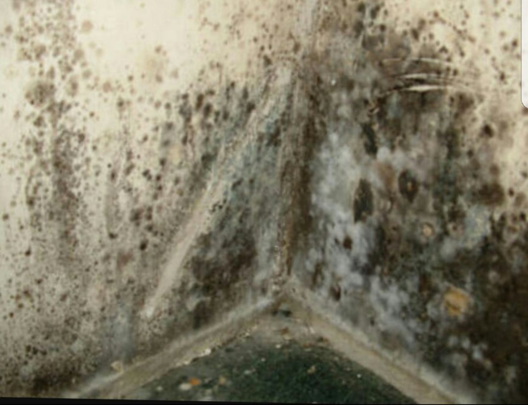 REMOVAL of black mould. This was caused by lack of ventilation