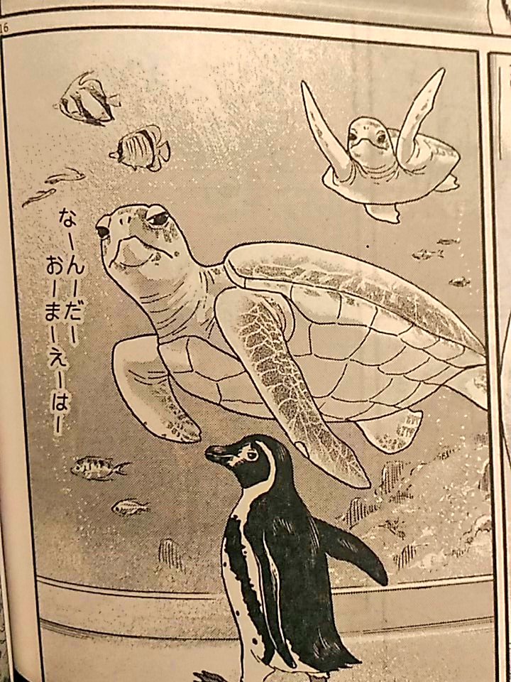 発売中の月刊スピリッツ11月号に、水族カンパニー!第6話載ってます!今回は是非雑誌のサイズで読んで頂きたい絵と内容になっております🐧✨ペン吉以外にもウミガメなど海の生き物もたくさん出てきます🐢ペンギン担当藤沢も出てます!