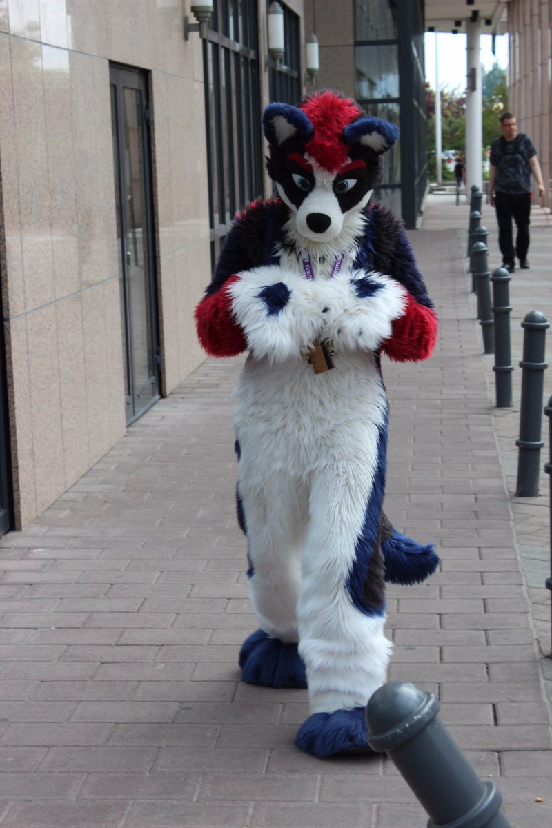 #EF23　　<a href="/ColtlanH/">Coltlan Husky</a>