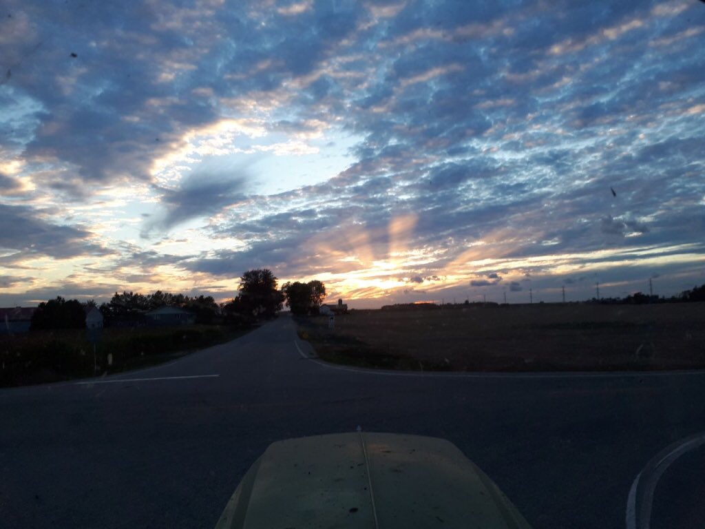 Meghan_devo's tweet image. Tractor views😻