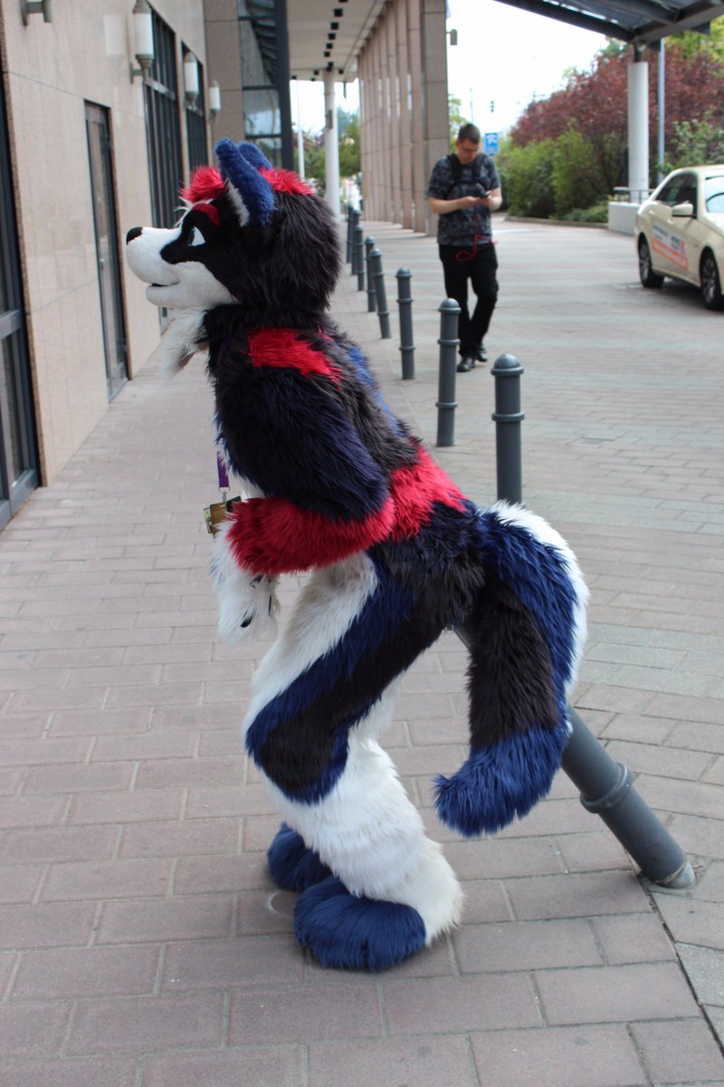 <a href="/ColtlanH/">Coltlan Husky</a> #EF23