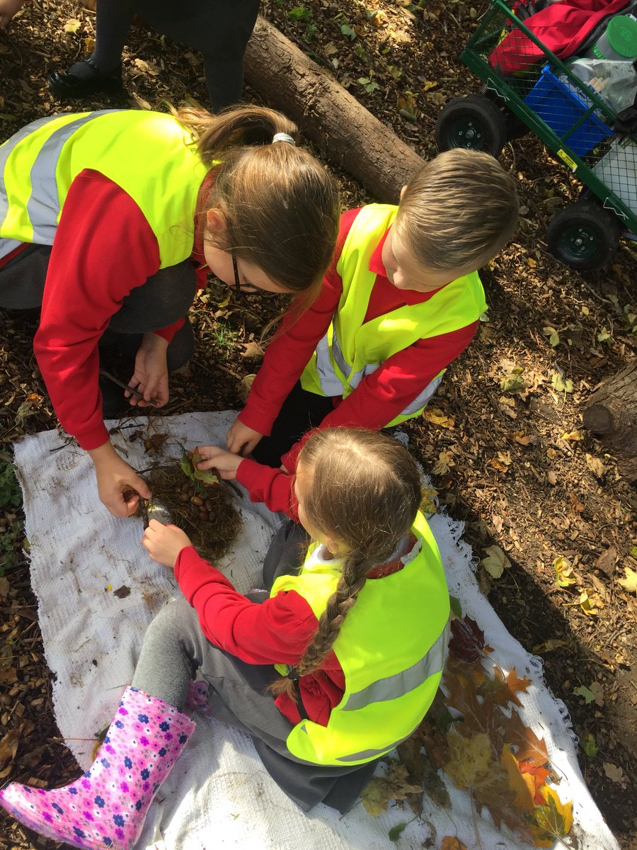 Miss Cecen tweet media