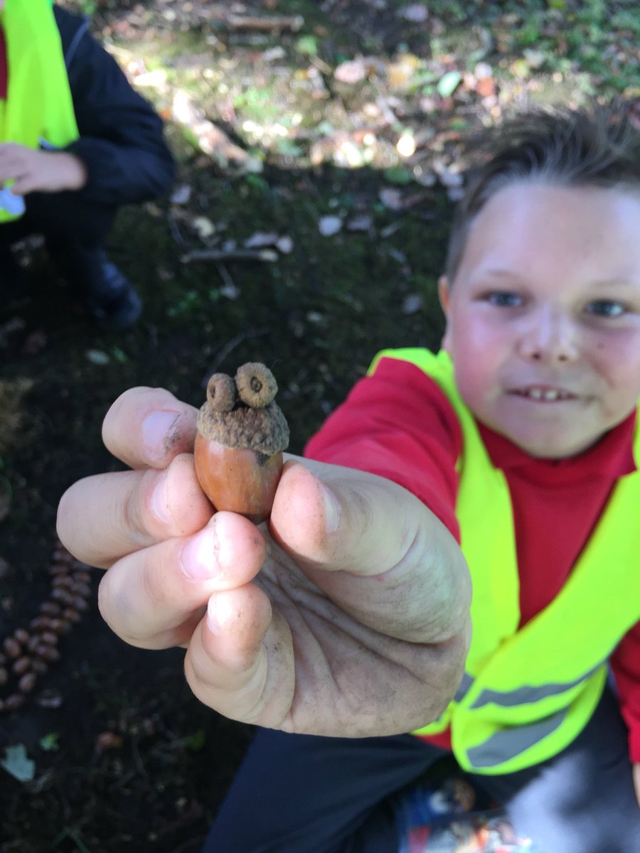 Miss Cecen tweet media