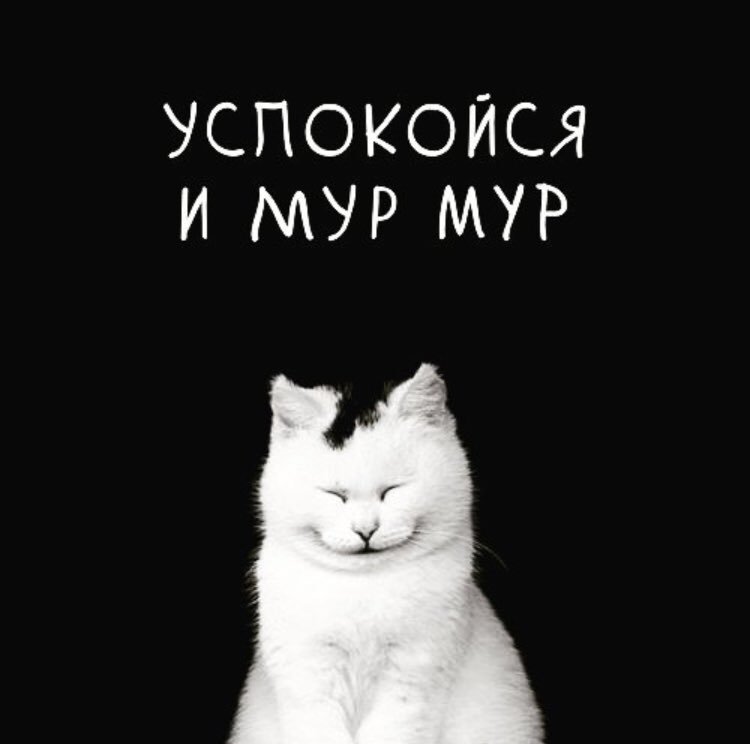 Сестре, прикольные картинки с надписью успокойся