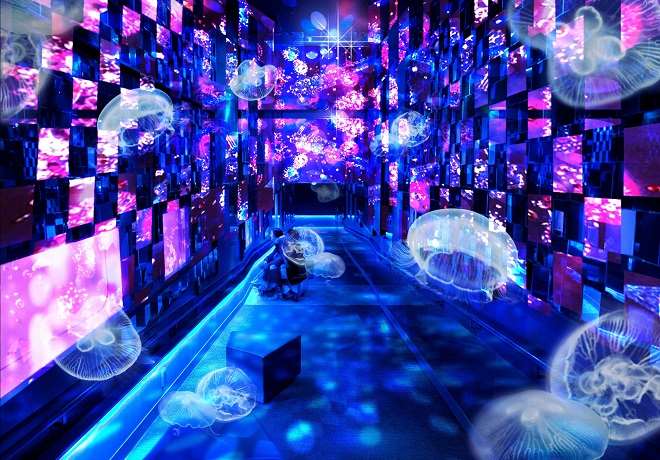 クラゲ万華鏡トンネル