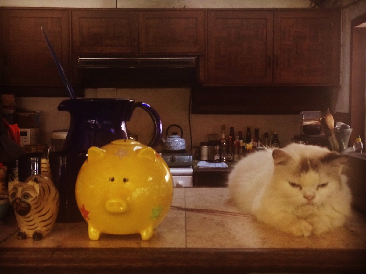 krisverle's tweet photo. Happy ornamements... #baliliving https://t.co/yCynoBGljZ