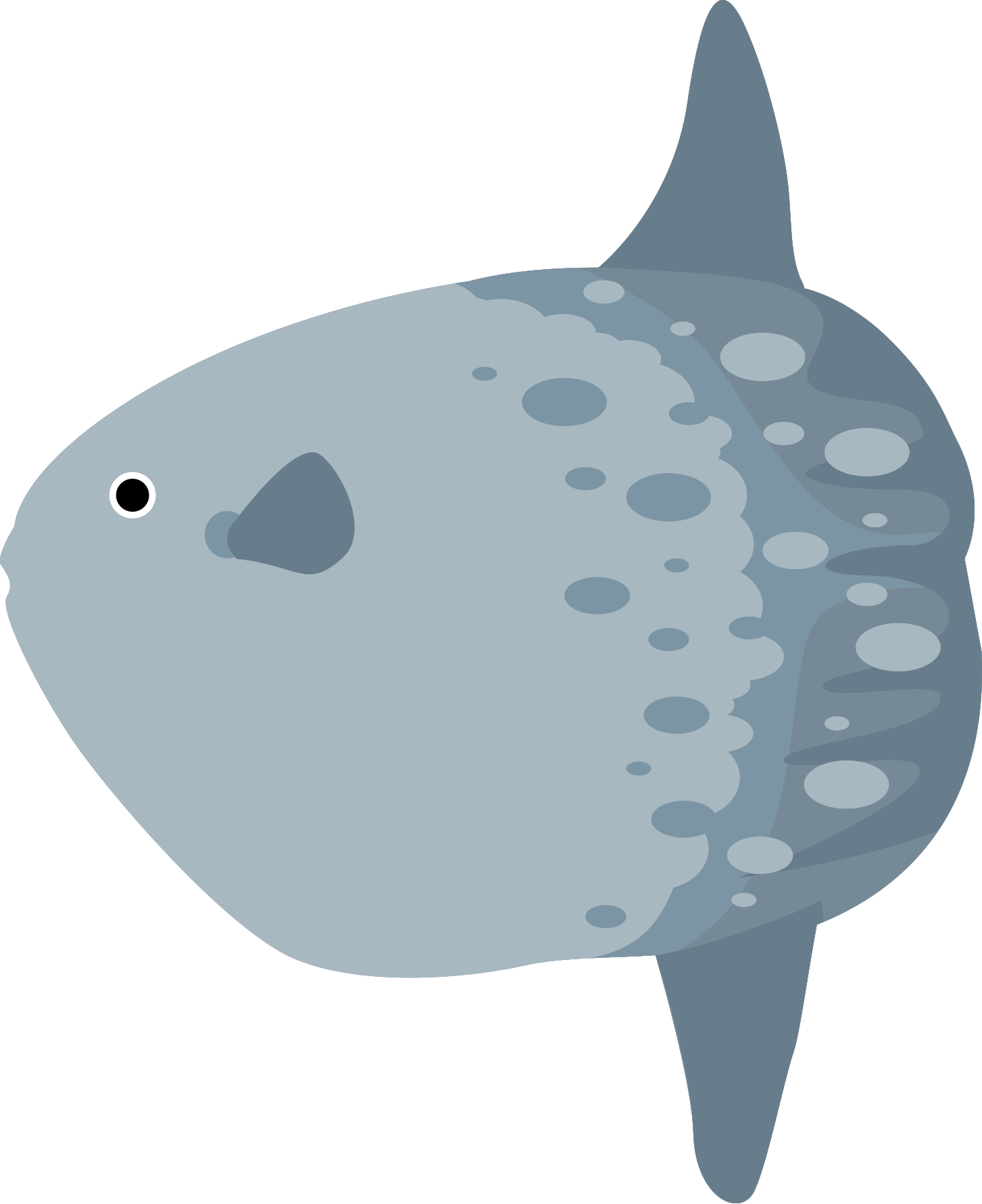 海の仲間たち Uh マンボーでおなじみの マンボウのイラスト素材追加しました どうぞご利用ください マンボウ カクレマンボウ 2点 海専門フリー素材サイト 海の仲間たち より T Co 3xtnuxvue9 ドリー マンボウ カクレマンボウ