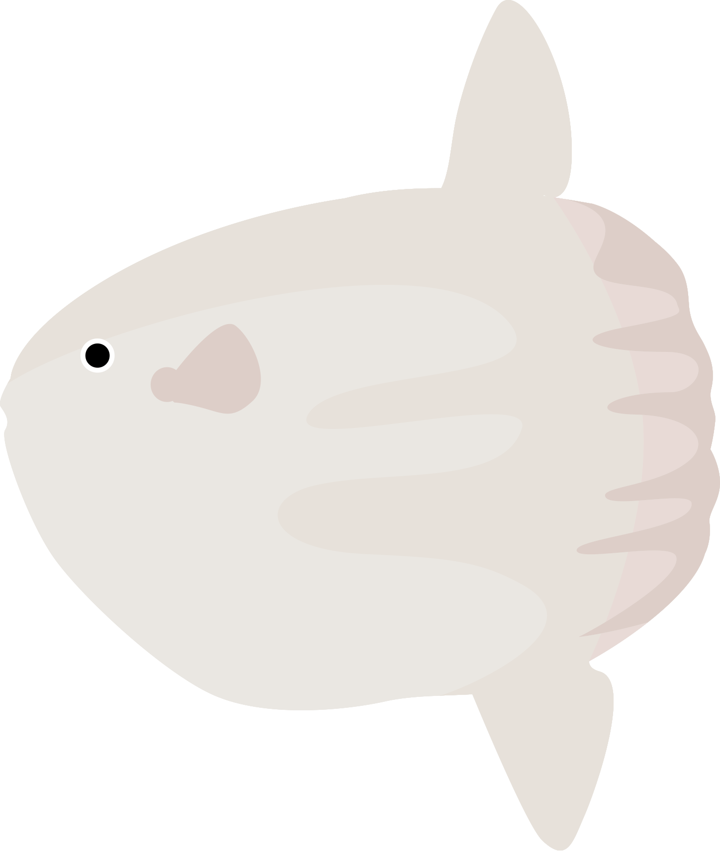 海の仲間たち Uh マンボーでおなじみの マンボウのイラスト素材追加しました どうぞご利用ください マンボウ カクレマンボウ 2点 海専門フリー素材サイト 海の仲間たち より T Co 3xtnuxvue9 ドリー マンボウ カクレマンボウ