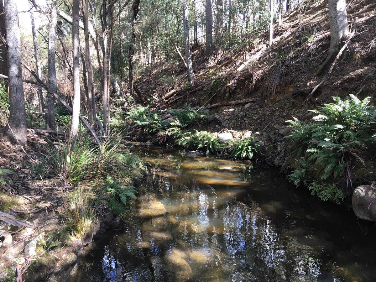 ben__tate's tweet image. Great day in St Marys, Tasmania! Walking beautiful waterways, sharing flood stories with friendly locals, very valuable. @WaterTechPtyLtd