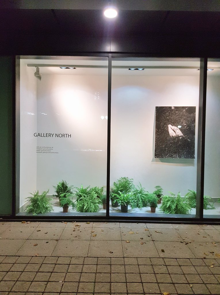 Get yourself down to Gallery North, Woon Fellow Rebecca Halliwell-Sutton’s 'Field Studies of Touch' is open today until 4pm!