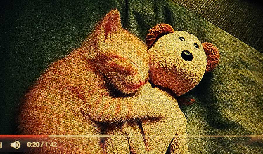 Senficon's tweet image. When filters fail: These 9 cases show why we can't trust algorithms to rid the internet of #illegalcontent: juliareda.eu/2017/09/when-f…