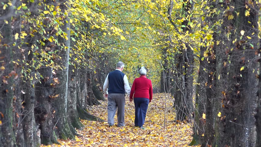 MissyBuchanan's tweet image. “O God, don’t let me waste my final years! &quot; -- J. Oswald Sanders, speaking at a chapel service at age 89 #KeepLivingAndLearning