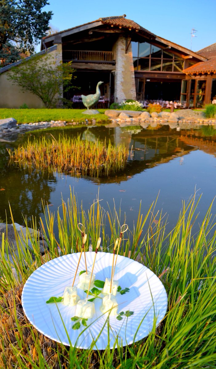 🍴Recette du chef🍴
🍗Brochettes de Poulet Tandoori au Gingembre par <a href="/GeorgesBlancOff/">Chef Georges Blanc</a>: à tester d'urgence! 😍

😋👉 bit.ly/2xBHplS