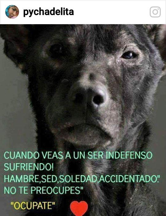 deschner_monica's tweet photo. No te preocupes...ocupate!!! https://t.co/ovixWvpxg4