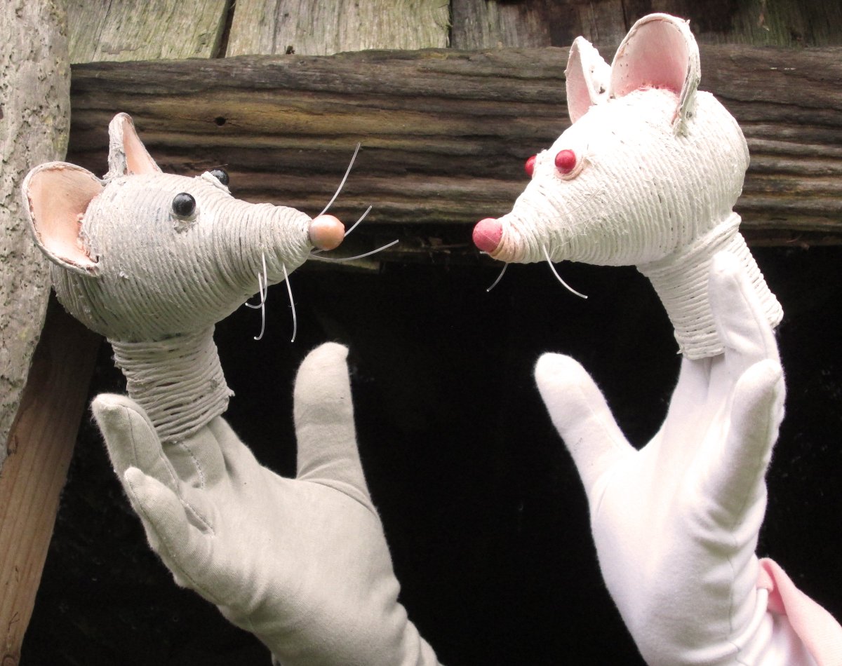 Town Mouse, Country Mouse this Sunday for #childrens #theatre in this funny, #musical and lively #puppetry show! bit.ly/2k6muTv