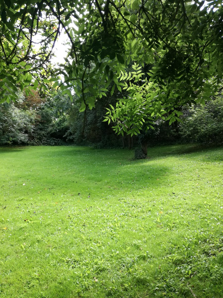 FuneralCloister's tweet photo. It's so peaceful here today in our garden @funeralCloister #letchworth #celebrationoflife #peace 🌲❤️ https://t.co/n42HCmSqHD