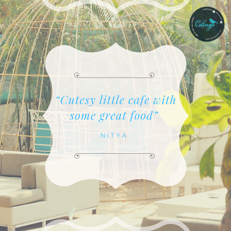 CafeCotinga's tweet photo. We love your feedback. Nitya just made our week. #Anjuna #Cotinga #Goa https://t.co/RKuU2zlFAv