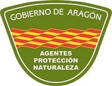 #EEI: #AgentesProtecciónNaturaleza <a href="/GobAragon/">Gobierno de Aragón</a> confirman que el nido localizado en #Hecho (Hu) es de #AvispaAsiática …ntesforestalesaragon1.blogspot.com.es/2017/09/locali…