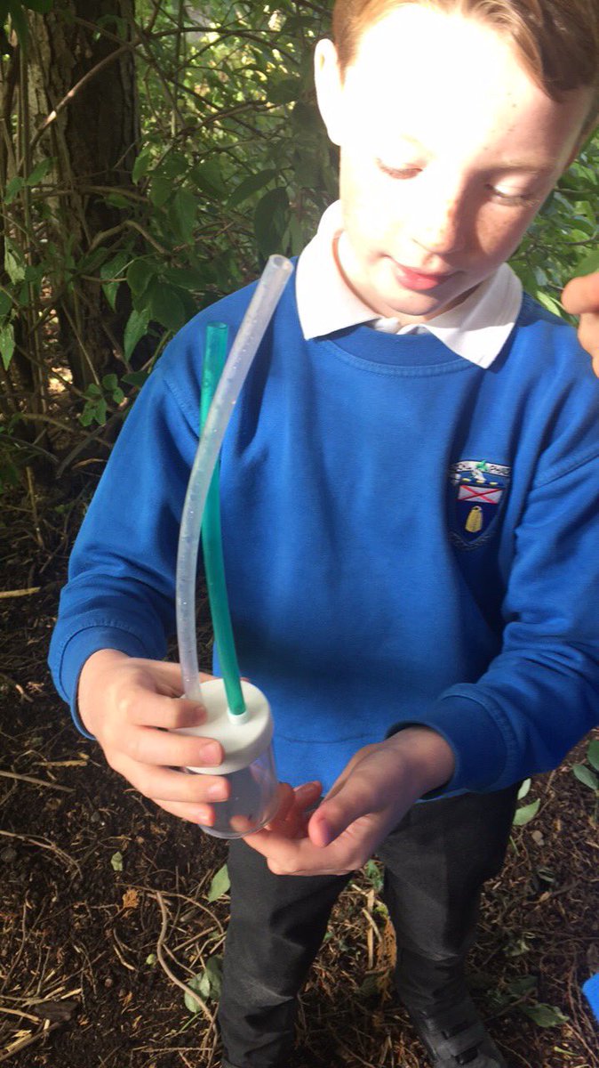 St Patrick's NS (@saintpatsns) on Twitter photo Second Class boys got out in the sunshine today to collect minibeasts! #science #geography <a href="/ParticipACTION/">participaction</a> <a href="/SusanJPike/">Dr Susan Pike π</a> <a href="/Geoseph_Usher/">Joe Usher</a> Second Class boys got out in the sunshine today to collect minibeasts! #science #geography <a href="/ParticipACTION/">participaction</a> <a href="/SusanJPike/">Dr Susan Pike π</a> <a href="/Geoseph_Usher/">Joe Usher</a>