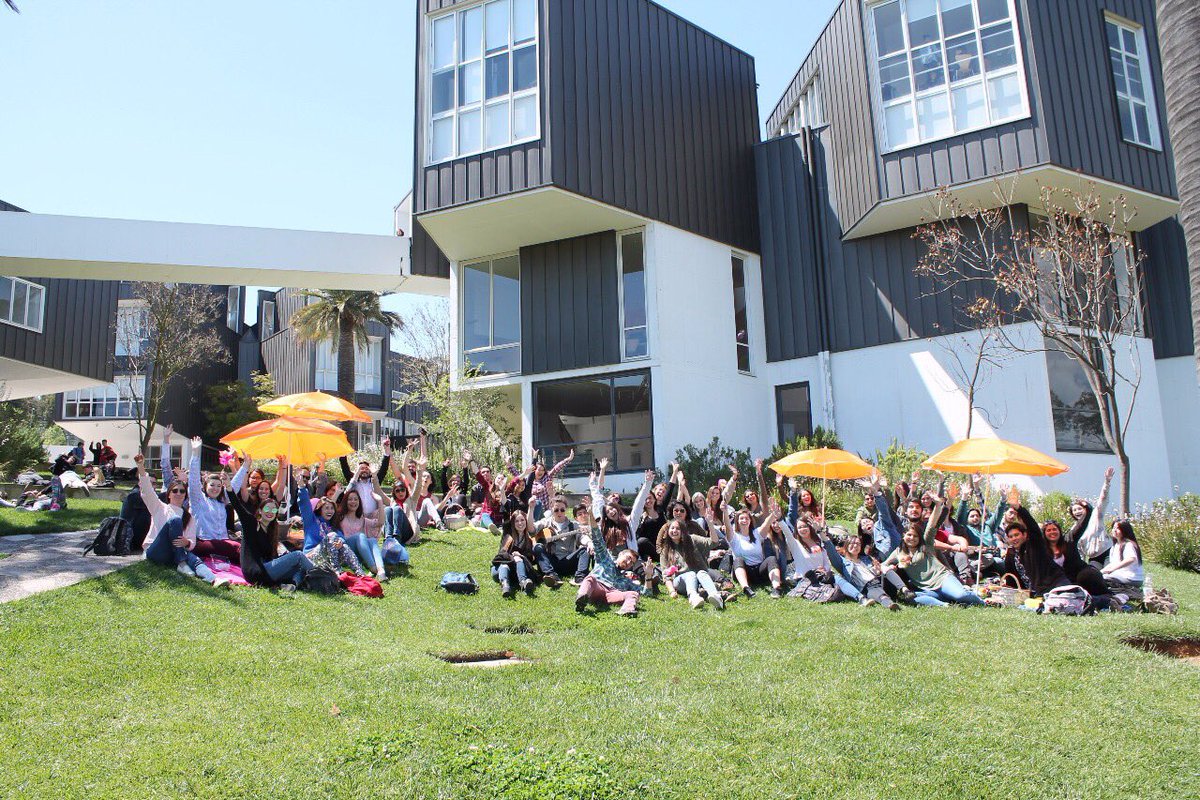UAI_VINA's tweet photo. Alumnos @Psicologia_UAI celebraron día de la carrera con diversas actividades en #UAI #VIÑA #DíaDePsicología @CAAPSIV 
#SemanaDeLasCarreras https://t.co/9awrODxrb4