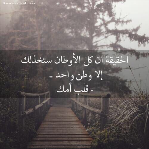 Ssamt1410's tweet photo. إذا سألت عن الحب فهو في قلب أمي وإذا سألت عن الوفاء فهو في طبع أمي وإذا سألت عن الحنان 
فحنان الدنيا أجده في نظرةٍ من عين أمي ..!! https://t.co/3E09QjVb1l