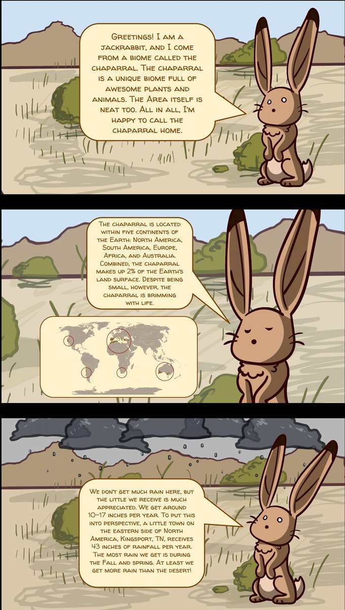 MissA_DBEXCEL's tweet photo. Welc 2 The Chaparral! Jack the Rabbit tells us abt life N the Chaparral in this Storyboard Original Prez by Alyssa👩‍🎨✍️🗺️ #PBL @KCS_DBEXCEL https://t.co/8W6m9RcG9m