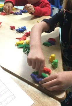 Some serious sorting going on!  Admiral FDK students learning to sort by attributes like colour, size, and shape.  #SCDSBmath <a href="/acfleet/">Admiral Collingwood</a>