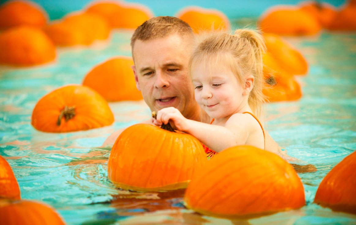 RSVL_Parks's tweet photo. Swimming in pumpkins...literally! The #FloatingPumpkinPatch, October 22. Call 772-PLAY to register. #RosevilleEvents https://t.co/RBmbzWajjT https://t.co/JJWUwBCOiH