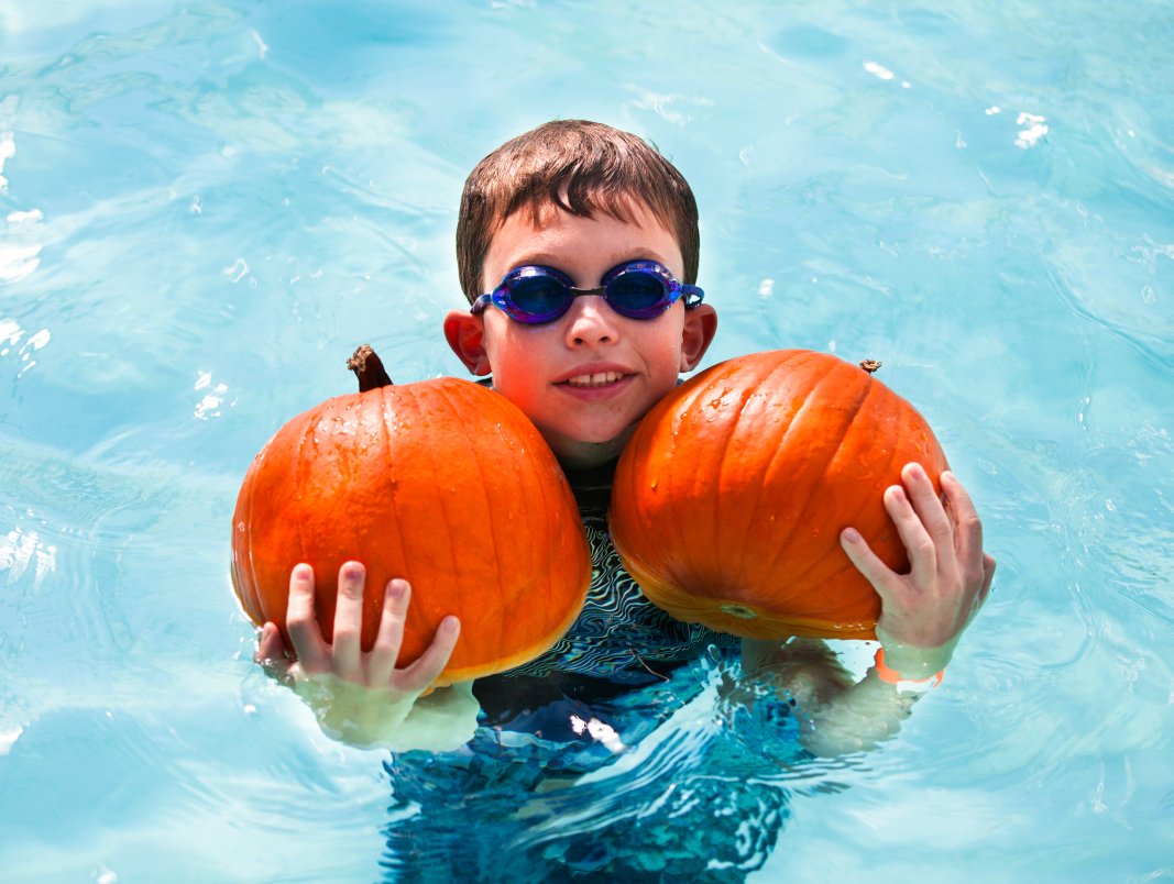RSVL_Parks's tweet photo. Swimming in pumpkins...literally! The #FloatingPumpkinPatch, October 22. Call 772-PLAY to register. #RosevilleEvents https://t.co/RBmbzWajjT https://t.co/JJWUwBCOiH