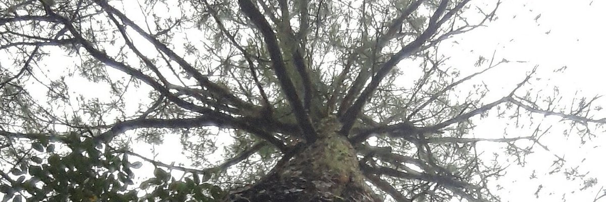 Gracias - Lempira
Unos de los lugares más bellos de Honduras C.A
Donde no se necesita ser ferinado para poder entablar una conversación