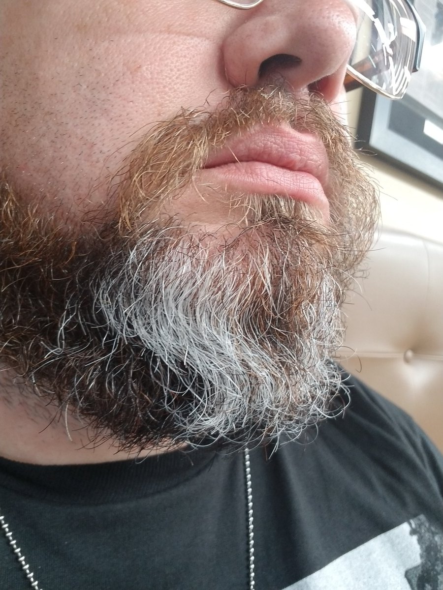 Beard now seeing a new girl on the reg. Every Thursday night he gets trimmed, shaped, rubbed and generally just loved. #BeardGang #beard