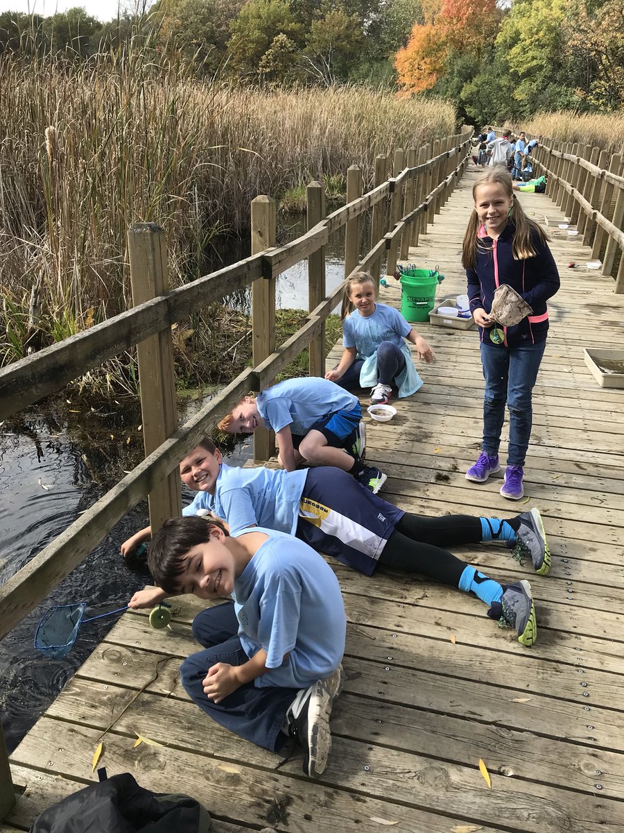 laura_hageman's tweet photo. Having a great time on the floating dock learning about macroinvertabrates! #fivehawks #EstemDay https://t.co/Zi4289qwzJ