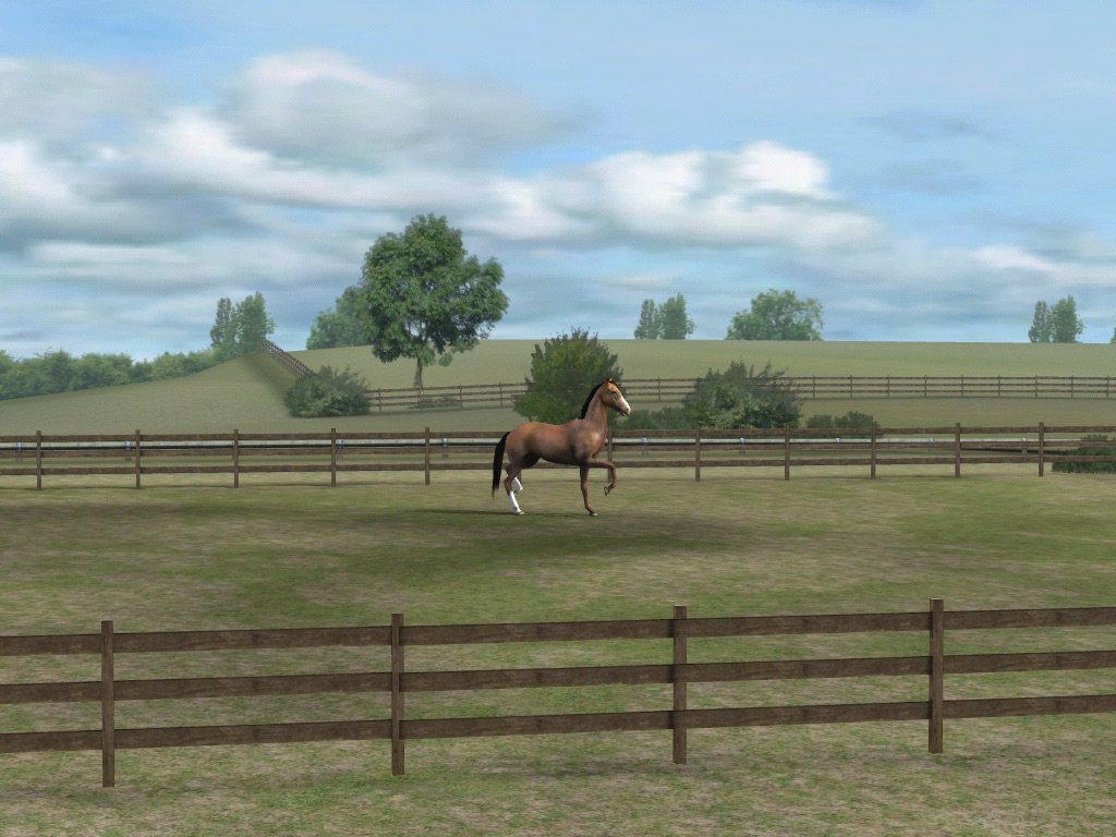 lalbertoliver's tweet photo. Check out my photo! Add me, ParrotVogue833. #MyHorse yay, https://t.co/wH2jro8pp2 https://t.co/q1iCFeStQx
