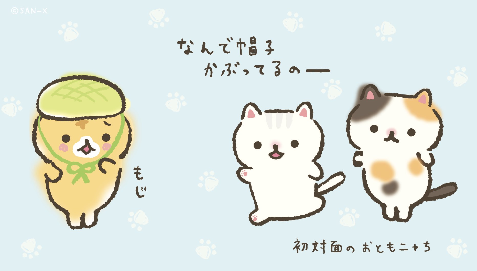 ころころコロニャ 公式 Na Tviteru やっぱり はじめてのおともニャちには ちょっとひとみしっちゃうニャね