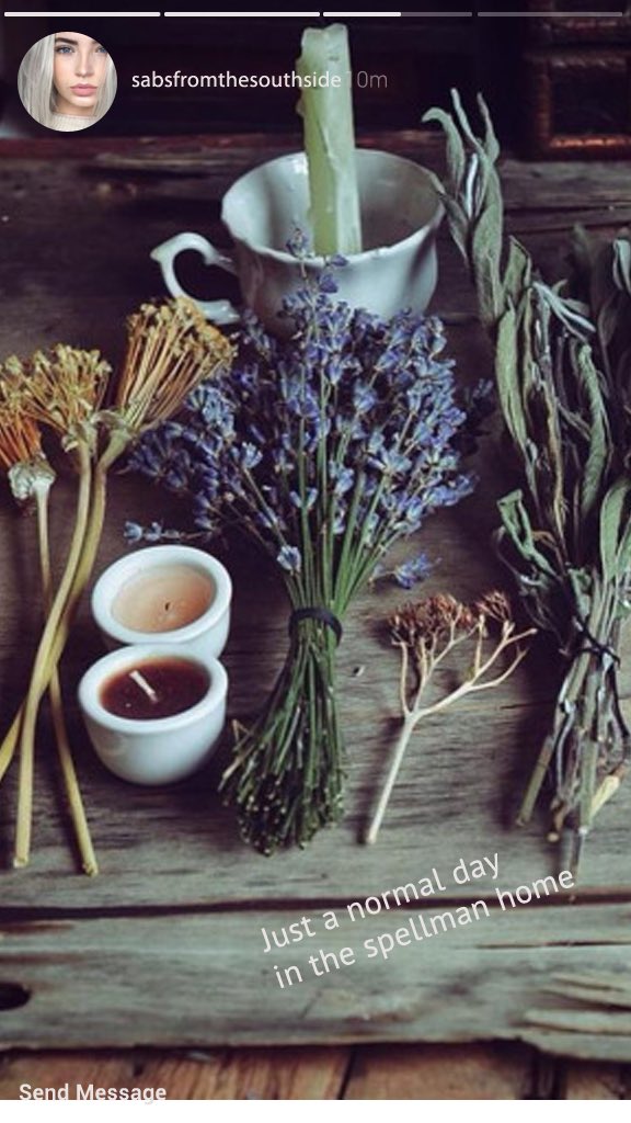spellboundless's tweet image. serpent sabrina- instagram (via tumblr)